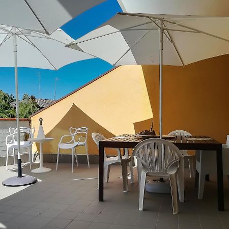 Appartamento Con Terrazza Lido delle Nazioni Exteriör bild